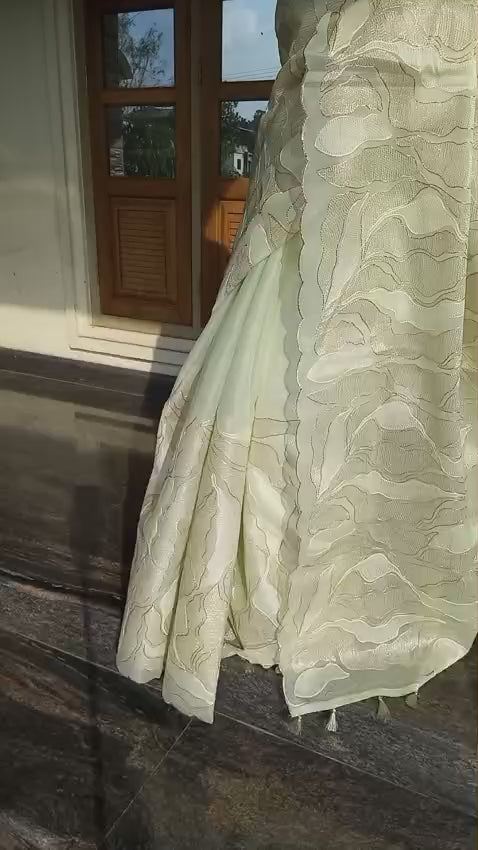 Exclusive light green Turkish organza type premium saree NL0216