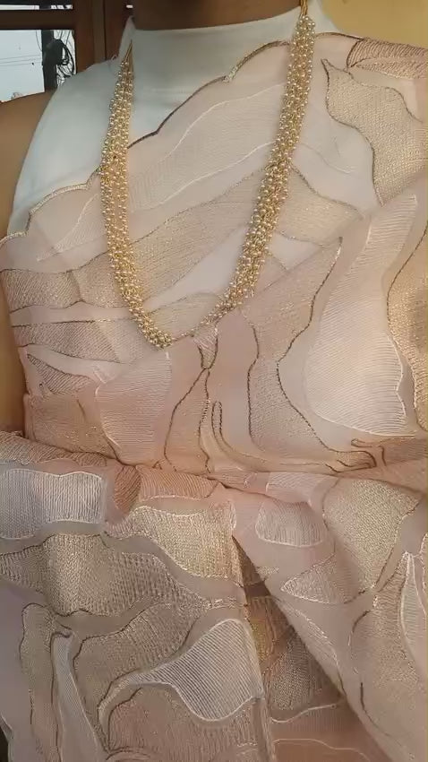 Turkish organza feel giving soft fabric Saree with beautiful embroidery work Code : NL0183
