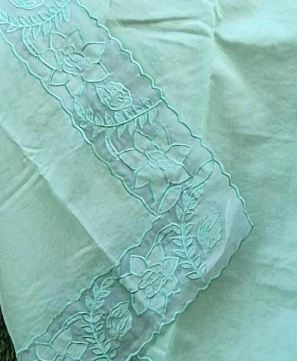 Beautiful silky Kota saree and blouse with organza border and applique work Organza