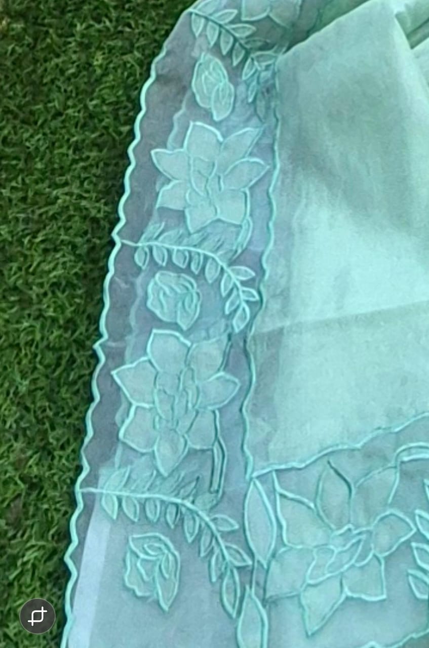 Beautiful silky Kota saree and blouse with organza border and applique work Organza