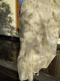 Unique & Exclusive Turkish organza type premium saree Beige Organza