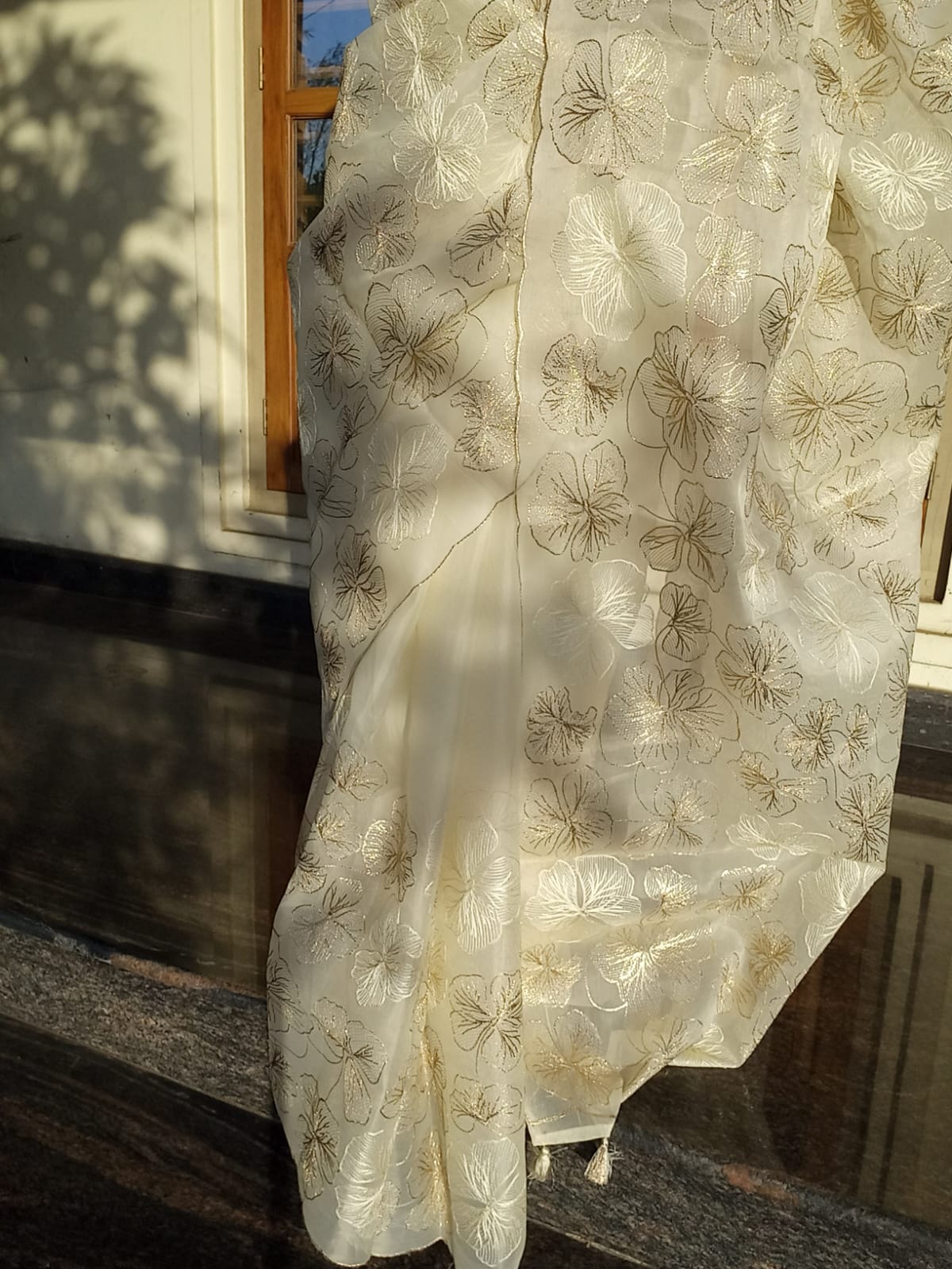 Unique & Exclusive Turkish organza type premium saree Beige Organza