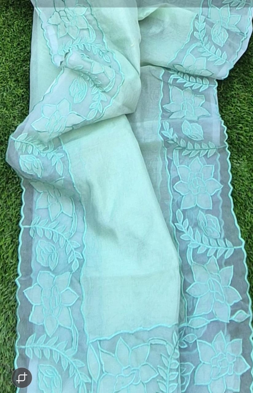 Beautiful silky Kota saree and blouse with organza border and applique work Organza