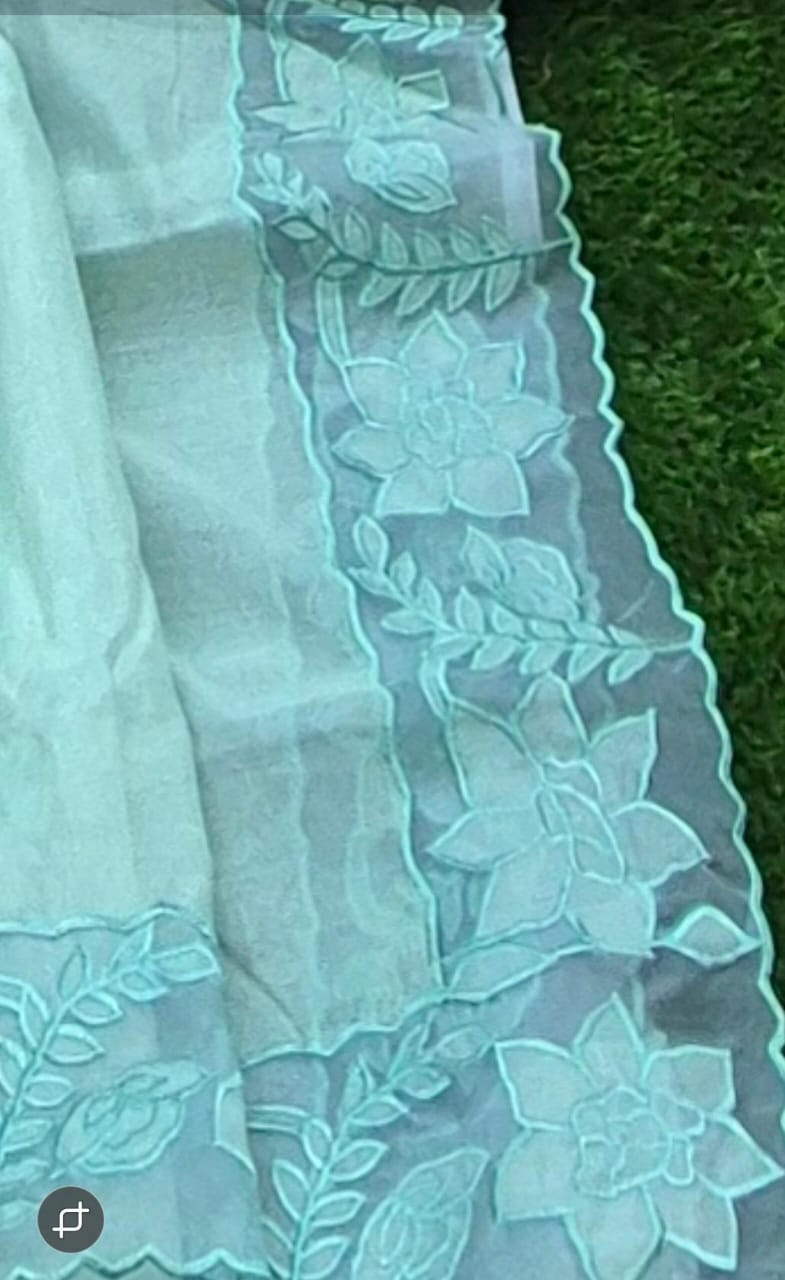 Beautiful silky Kota saree and blouse with organza border and applique work Organza