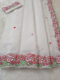 Exclusive white baptism special cutwork embroidery designer sarees White
